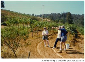 CRM Vineyard 1988